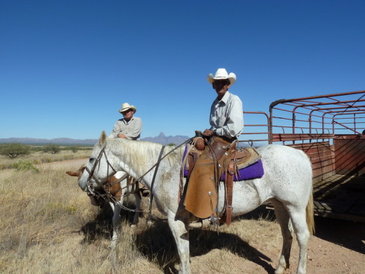 Vaqueros