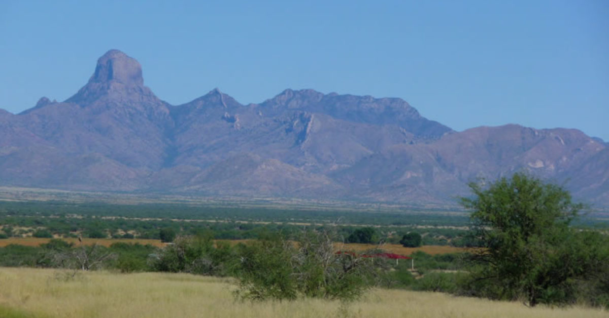 Drones on a Wildlife Refuge