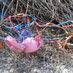 Balloon Trash on Refuge