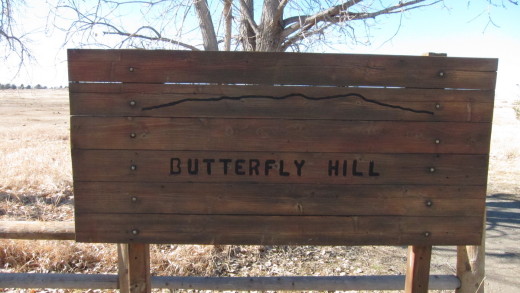 Butterfly Hill