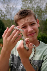 Gabe with Red Milk Snake