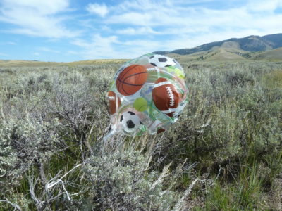 Mylar Balloon on the National Elk Refuge