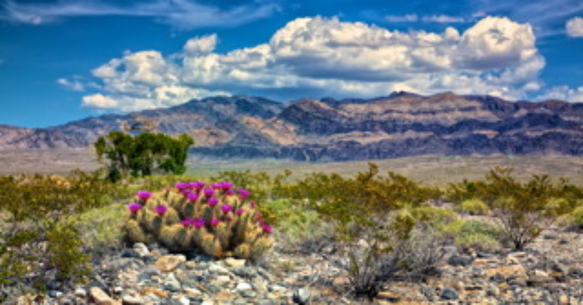 Living on a Wildlife Refuge