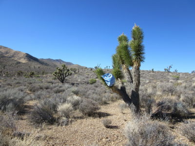 Mylar Balloon on Desert National Wildlife Refuge