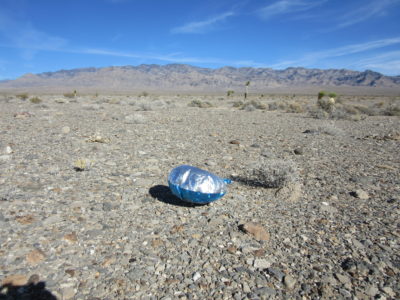 Mylar Balloon on Desert National Wildlife Refuge