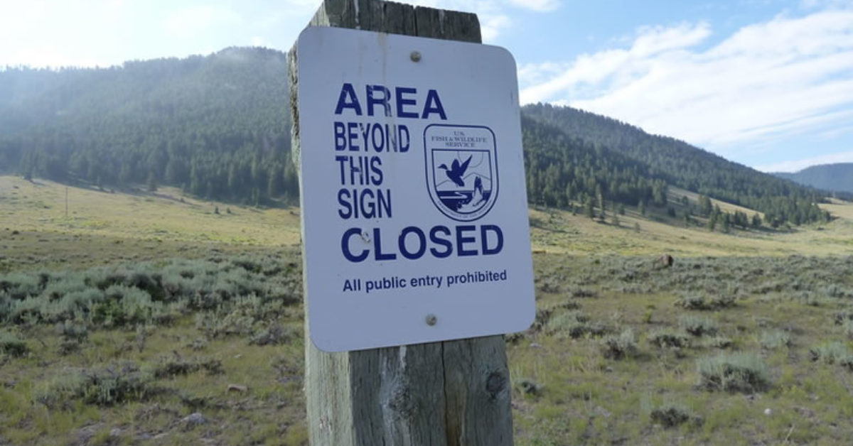 Nature Takes its Course on a Wildlife Refuge