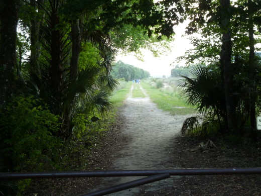 Lake Woodruff National Wildlife Refuge