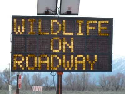 Wildlife Sign