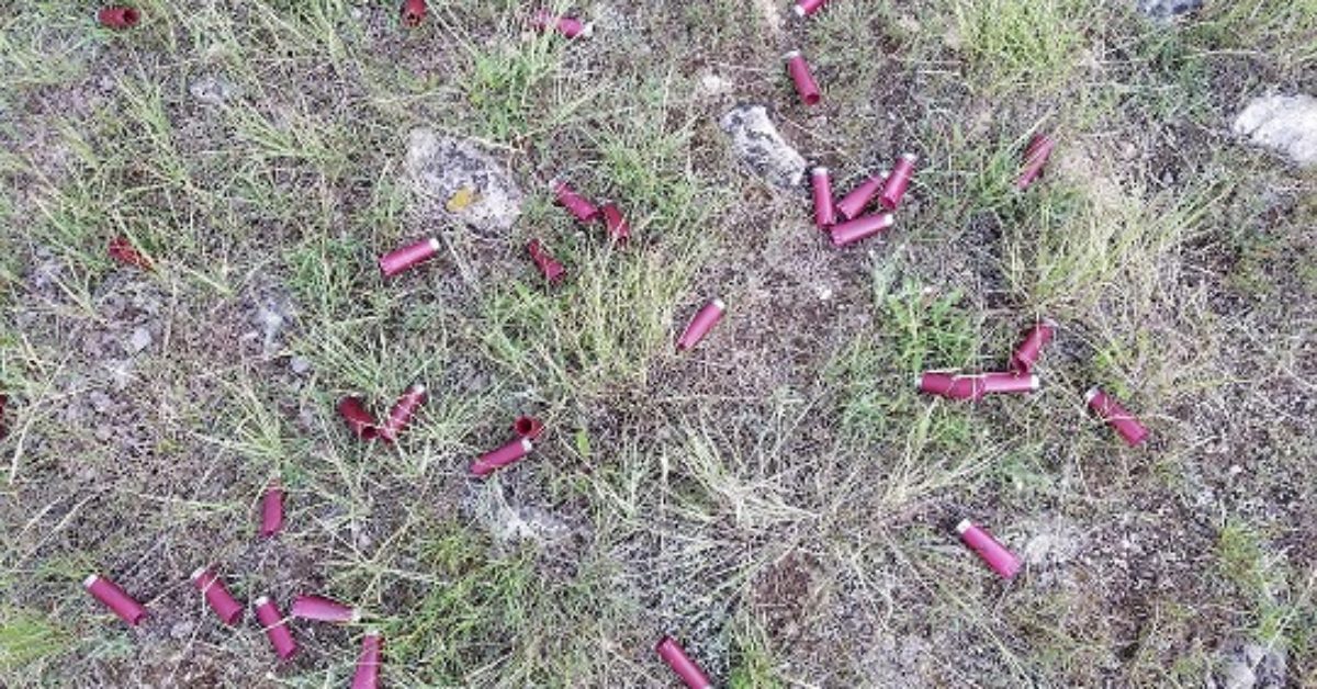 Shooting Spree