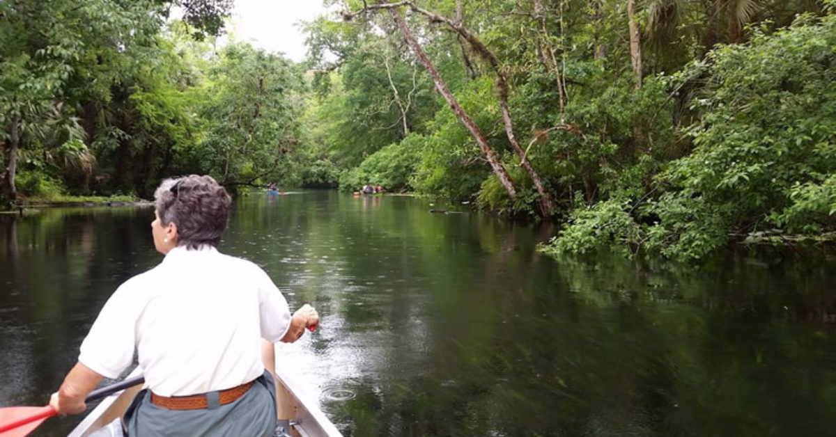 Surveying Turtles