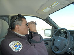 Checking dust trail in distance